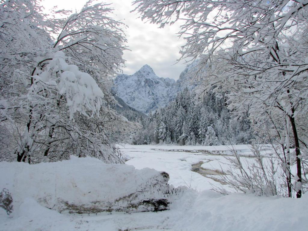 Youth Hostel Nika Kranjska Gora Pokoj fotografie