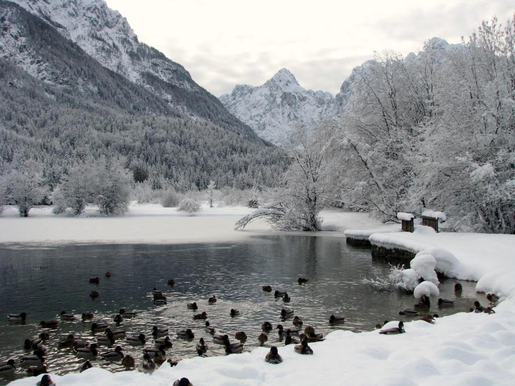 Youth Hostel Nika Kranjska Gora Exteriér fotografie