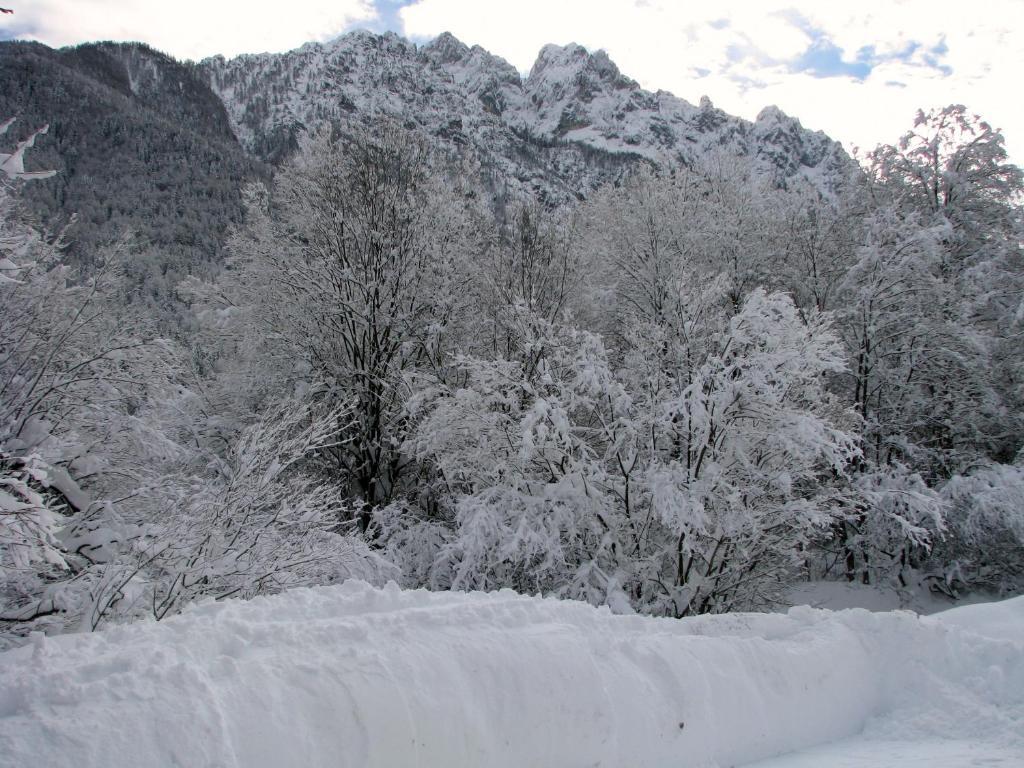 Youth Hostel Nika Kranjska Gora Exteriér fotografie